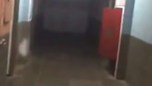 El misterio sin resolver de una vieja morgue brasileña - Sputnik Mundo