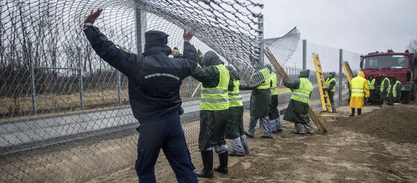 Condenados construyen una cerca de la segunda línea defensiva detrás de la primera valla protectora en la frontera entre Hungría y Serbia - Sputnik Mundo