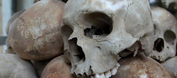 Cráneos (Archivo) - Sputnik Mundo