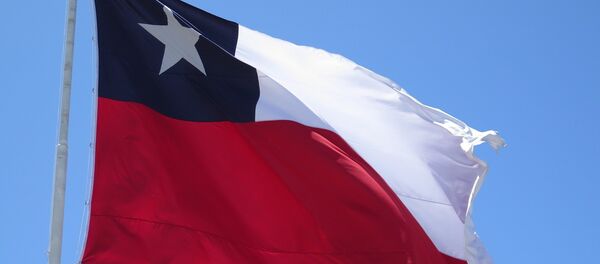 Bandera de Chile - Sputnik Mundo
