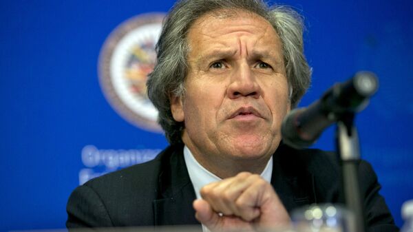 Luis Almagro, secretario general de la OEA - Sputnik Mundo