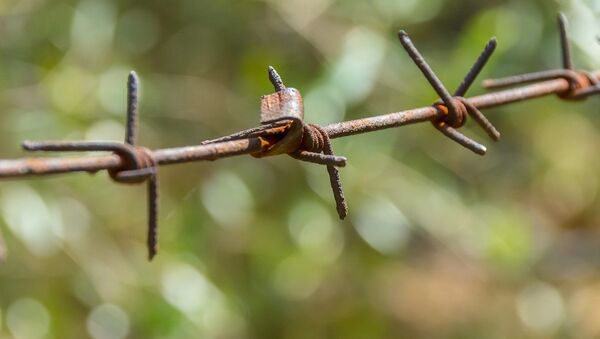 Alambre de púas - Sputnik Mundo