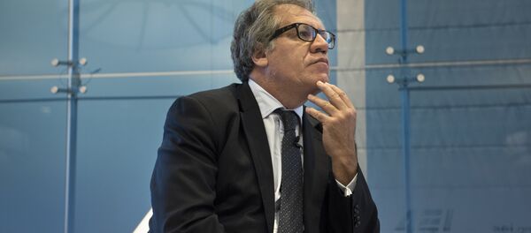 Luis Almagro, Secretario General de la OEA - Sputnik Mundo