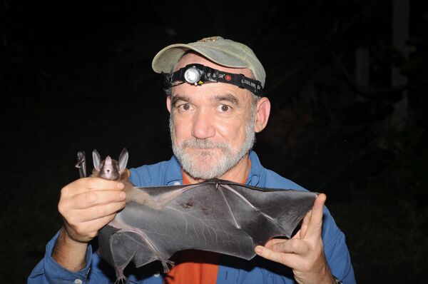 El 'Batman' mexicano que quiere mejorar la imagen de los murciélagos El 'Batman' mexicano que quiere mejorar la imagen de los murciélagos - Sputnik Mundo