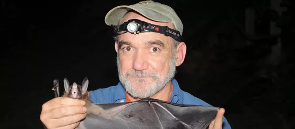 El doctor Rodrigo Medellín sostiene un murciélago El doctor Rodrigo Medellín sostiene un murciélago - Sputnik Mundo