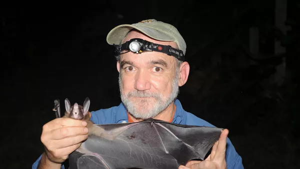 El doctor Rodrigo Medellín sostiene un murciélago