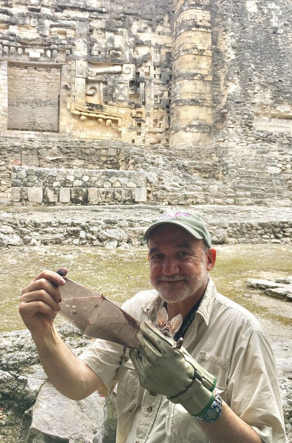 El 'Batman' mexicano que quiere mejorar la imagen de los murciélagos El 'Batman' mexicano que quiere mejorar la imagen de los murciélagos - Sputnik Mundo