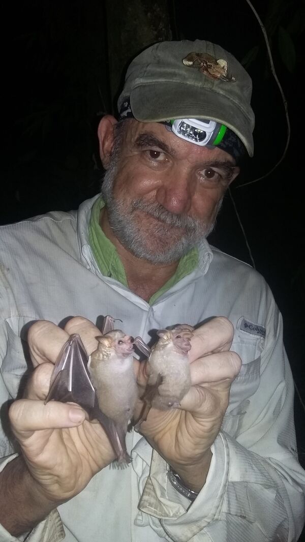 El 'Batman' mexicano que quiere mejorar la imagen de los murciélagos El 'Batman' mexicano que quiere mejorar la imagen de los murciélagos - Sputnik Mundo