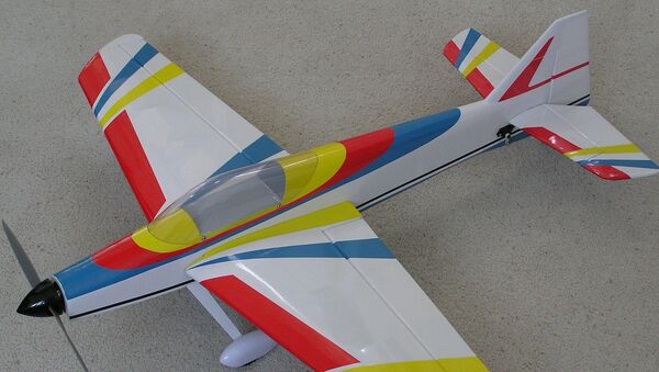 Un avión de juguete - Sputnik Mundo