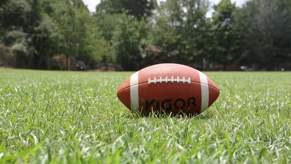 Un balón de fútbol americano - Sputnik Mundo