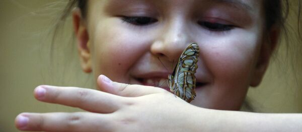 Mariposa rusa Mariposa rusa - Sputnik Mundo