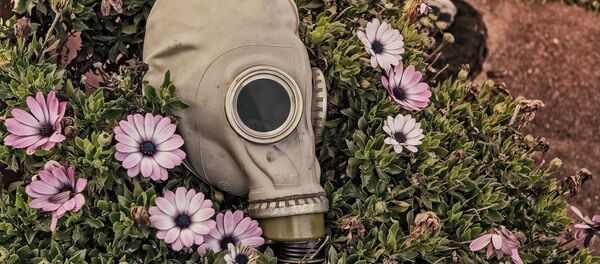 Máscara antigás - Sputnik Mundo