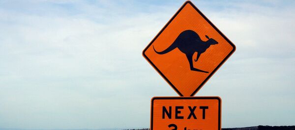 Canguro (señal de tráfico) - Sputnik Mundo