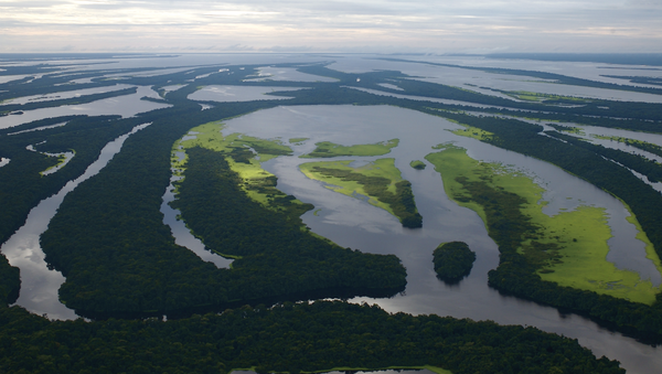 El río Amazonas - Sputnik Mundo