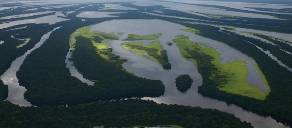 El río Amazonas - Sputnik Mundo