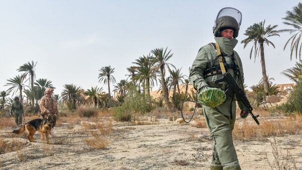 Zapadores rusos en Palmira - Sputnik Mundo