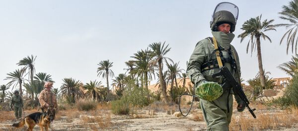 Zapadores rusos en Palmira - Sputnik Mundo