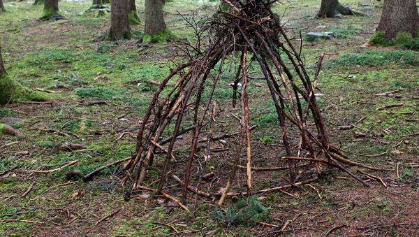 Un lugar misterioso (imagen referencial) Un lugar misterioso (imagen referencial) - Sputnik Mundo