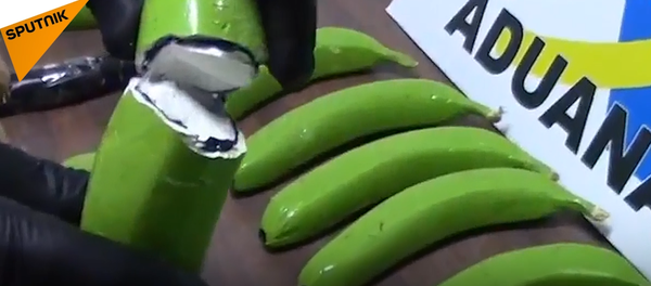 La Guardia Civil de España ha encontrado 17 kilogramos de cocaína en un cargamento de plátanos procedente de Suramérica - Sputnik Mundo