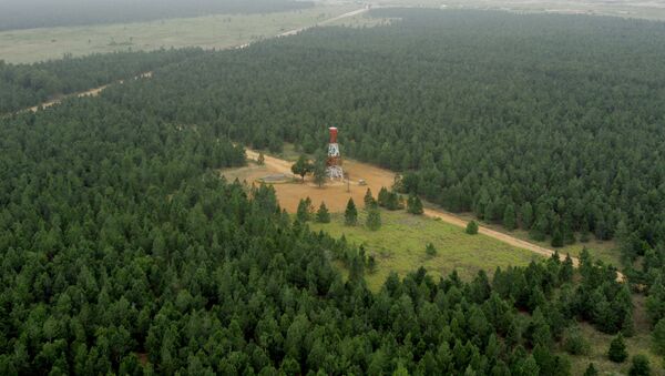 Venezuela posee el bosque forestal más grande del mundo, creado por el hombre - Sputnik Mundo