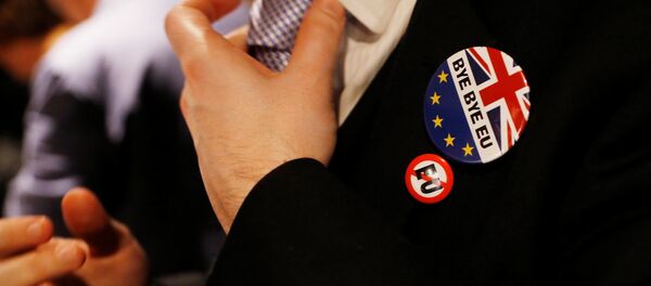 Un partidario del Brexit - Sputnik Mundo