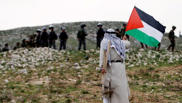 Un hombre con la bandera de Palestina - Sputnik Mundo