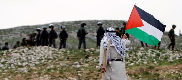 Palestino en una protesta - Sputnik Mundo