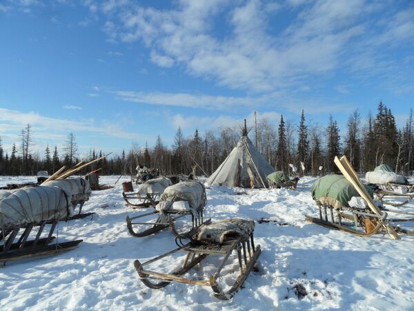 Una visita a los pueblos aborígenes de la península rusa de Yamal Una visita a los pueblos aborígenes de la península rusa de Yamal - Sputnik Mundo