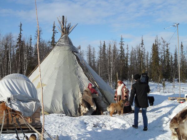 Una visita a los pueblos aborígenes de la península rusa de Yamal Una visita a los pueblos aborígenes de la península rusa de Yamal - Sputnik Mundo