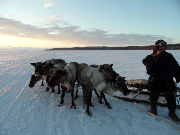 Una visita a los pueblos aborígenes de la península rusa de Yamal Una visita a los pueblos aborígenes de la península rusa de Yamal - Sputnik Mundo