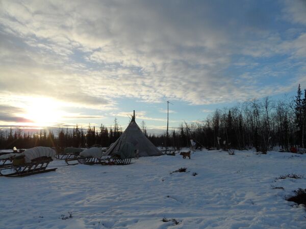Una visita a los pueblos aborígenes de la península rusa de Yamal Una visita a los pueblos aborígenes de la península rusa de Yamal - Sputnik Mundo