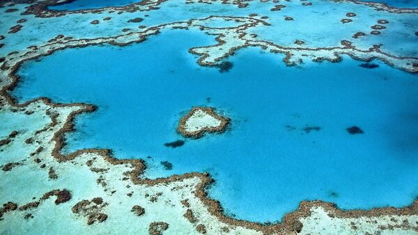 Un arrecife coralino (archivo) - Sputnik Mundo