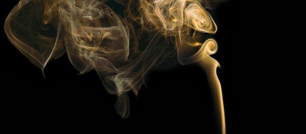 Humo maloliente - Sputnik Mundo