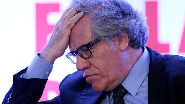 Organization of American States (OAS) Secretary-General Luis Almagro gestures during the Democratic Solidarity in Latin America meeting organised by Forum 2000 Foundation in Mexico City - Sputnik Mundo