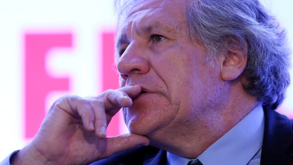 Organization of American States (OAS) Secretary-General Luis Almagro gestures during the Democratic Solidarity in Latin America meeting organised by Forum 2000 Foundation in Mexico City, Mexico - Sputnik Mundo