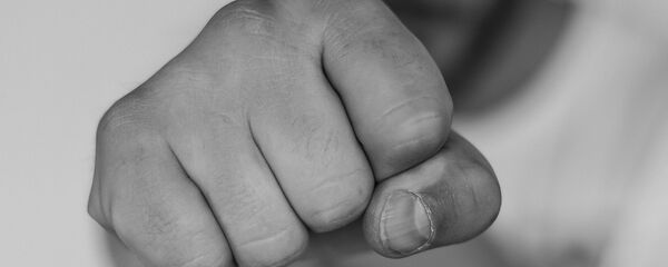 Un puñetazo Un puñetazo - Sputnik Mundo