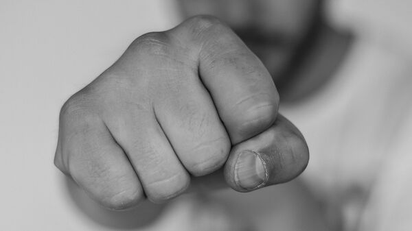 Un puñetazo Un puñetazo - Sputnik Mundo