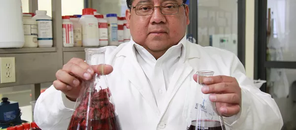 Jamaica, una “súper flor” contra las bacterias multirresistentes Jamaica, una “súper flor” contra las bacterias multirresistentes - Sputnik Mundo