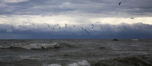 Costa de Gaza - Sputnik Mundo