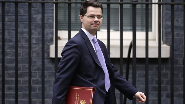 James Brokenshire, secretario británico para Irlanda del Norte James Brokenshire, secretario británico para Irlanda del Norte - Sputnik Mundo