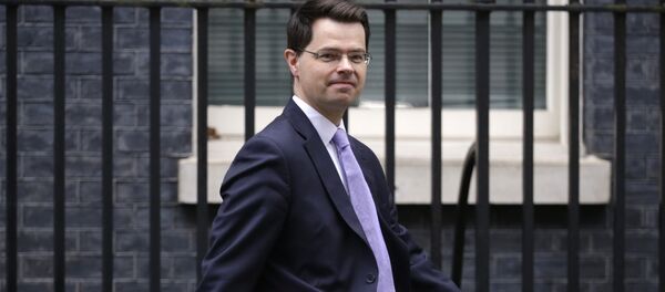 James Brokenshire, secretario británico para Irlanda del Norte - Sputnik Mundo