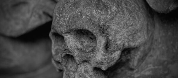 Una calavera (archivo) - Sputnik Mundo