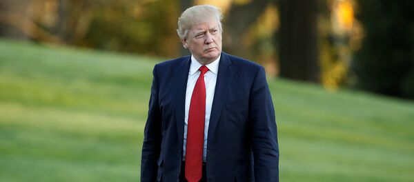 Donald Trump, presidente de EEUU - Sputnik Mundo