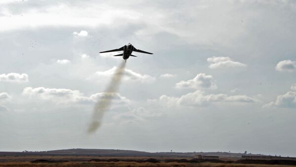 Un avión MiG-23 - Sputnik Mundo