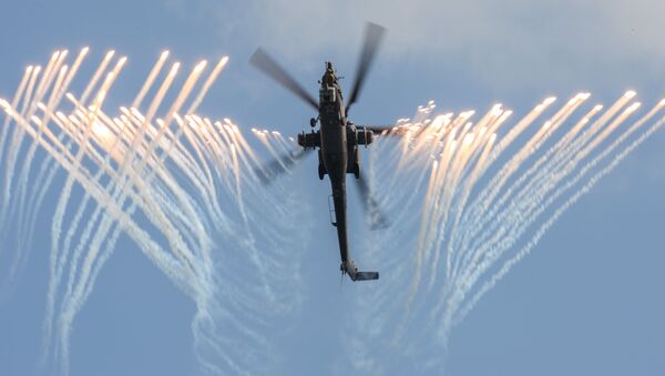 Bérkuti, las águilas de hierro de Rusia - Sputnik Mundo