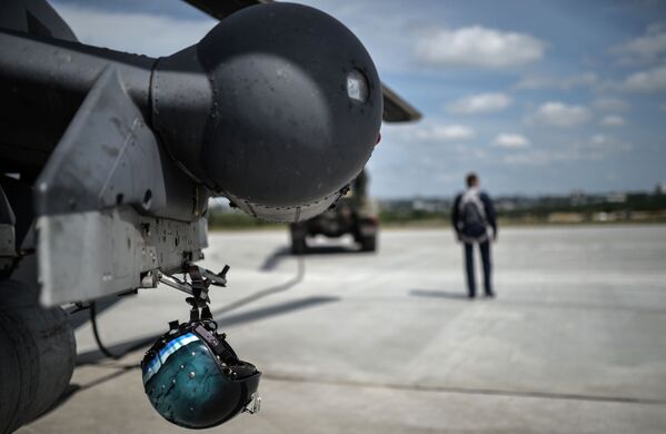 Bérkuti, las águilas de hierro de Rusia - Sputnik Mundo