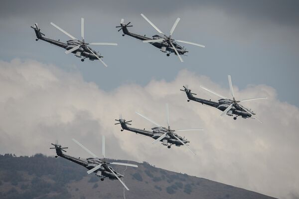 Bérkuti, las águilas de hierro de Rusia - Sputnik Mundo