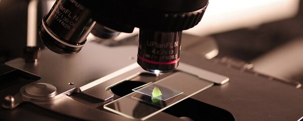 Microscopio - Sputnik Mundo