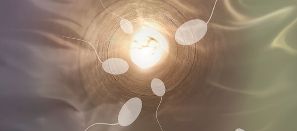 Espermatozoides - Sputnik Mundo