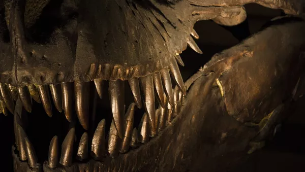 Dinosaurio (imagen referencial)